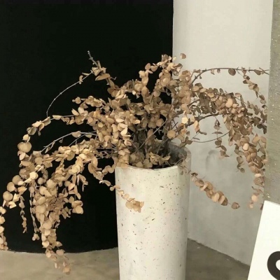 兽设零基础绘画教程Furry群